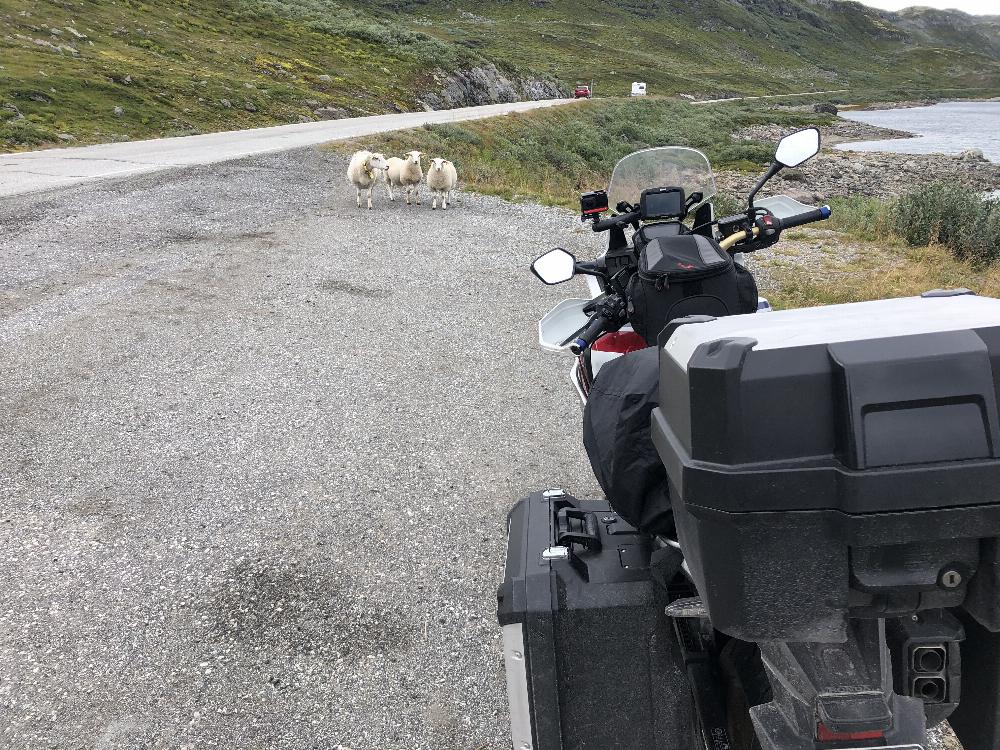 Motorrad verkaufen Honda CRF 1000 Ankauf
